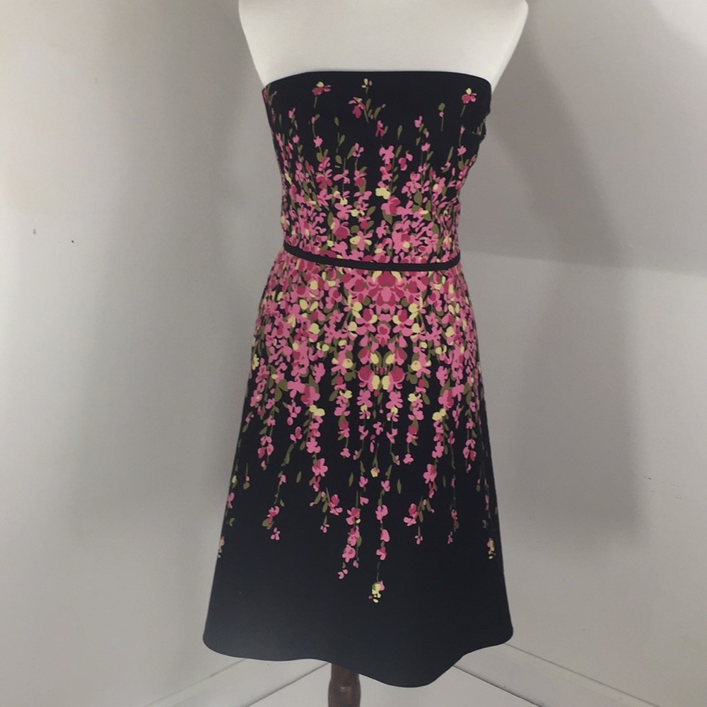 Ann Taylor Loft Petites Cotton Dress